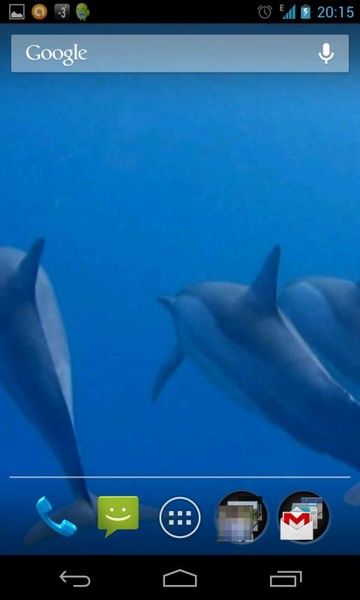 Dolphins 3D - Preview 4