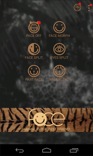 InstaFace - Preview 2
