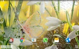 Spring Live Wallpaper screenshot 8