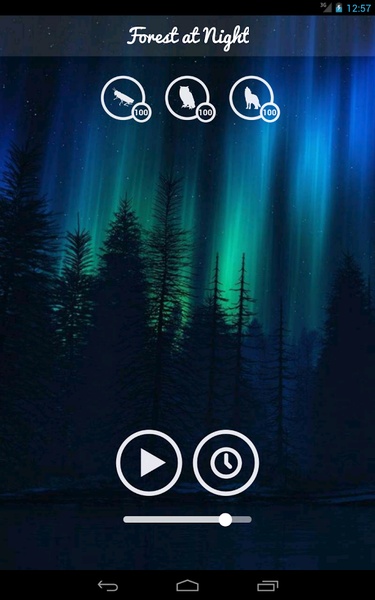 Forest Sounds - Preview 3