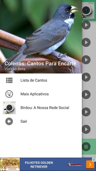 ColeirosCantosParaEncarte - Preview 3
