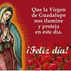 Virgen De Guadalupe Imagenes screenshot 10