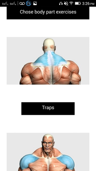 Fitness Pal - Preview 7