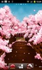 Sakura's Bridge Live Wallpaper screenshot 8