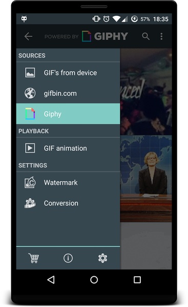 GIF To Video - Preview 11