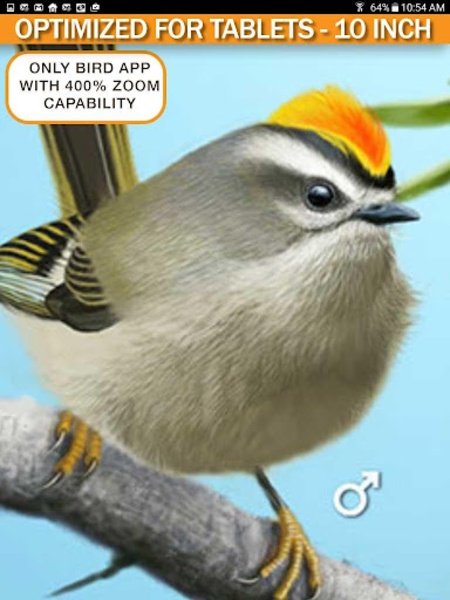 iBird Lite - Preview 7