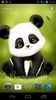 Panda Bobble Head Live Wallpaper Free screenshot 3