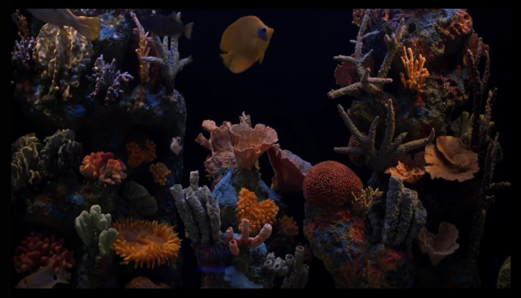 Aquarium HD - Preview 1
