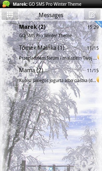 GO SMS Pro Winter Theme - Preview 2