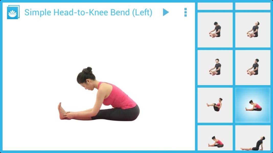 Yoga for Weight Loss I (Sub. Plugin) - Preview 3