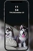 Dogs Wallpapers screenshot 5