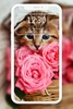 Cutest Cats Wallpaper screenshot 6