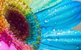 Glitter Flowers Live Wallpaper screenshot 1