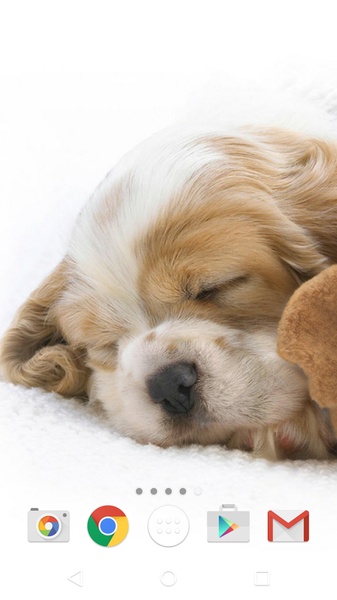 Cute Animals Live Wallpaper - Preview 8