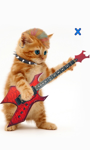 Talking, Dancing Cat. - Preview 2