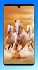 Horse Wallpaper 4K screenshot 15