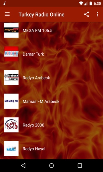 Turkey Radio Online - Preview 3