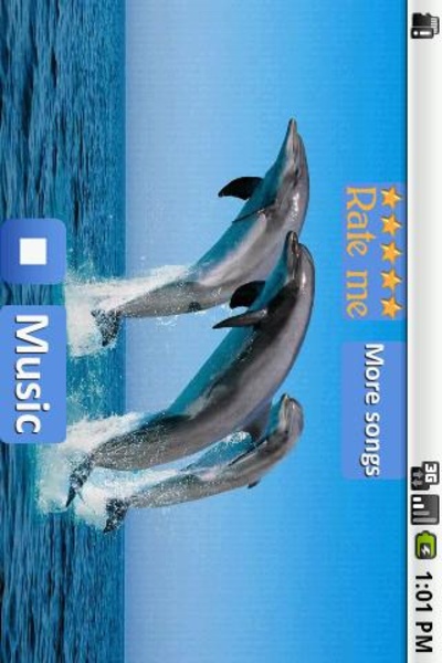 Dolphins - Sound to relax - Preview 3