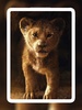 Lion Wallpapers screenshot 4