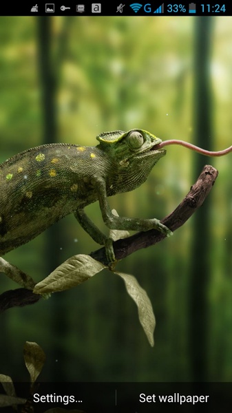 Chameleon Live Wallpaper - Preview 5