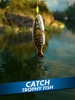 Go Fishing! screenshot 9