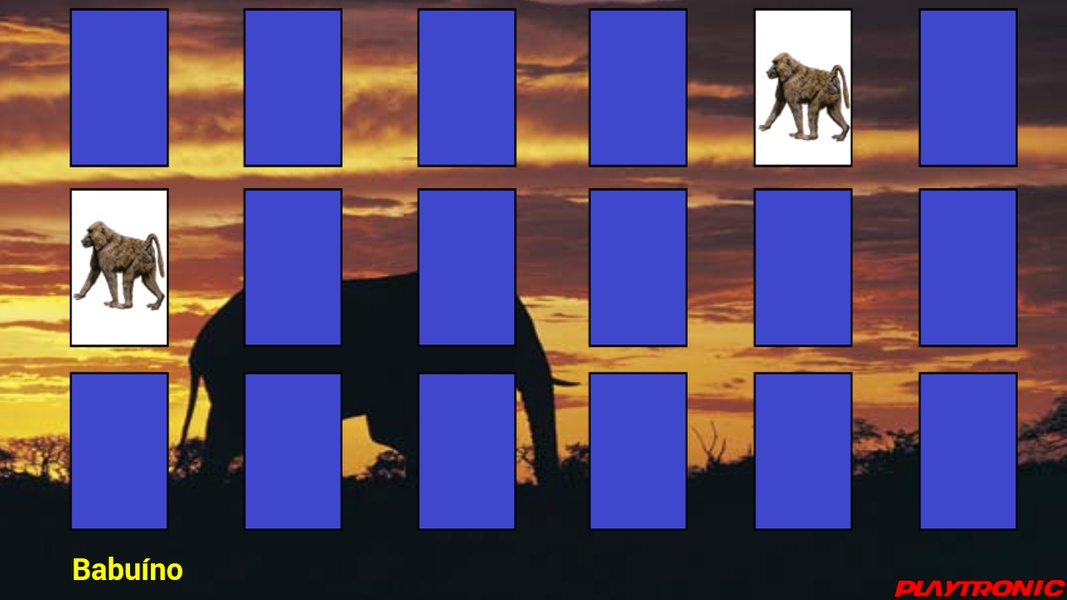 Zoo Card - Preview 3