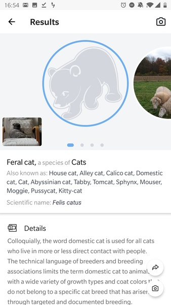 Picture Animal - Animal ID Pro - Preview 4
