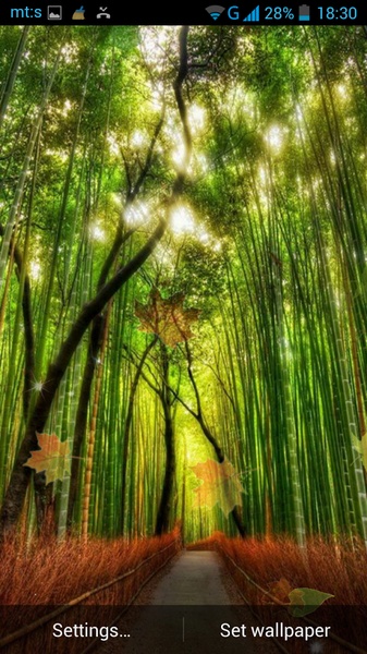 Live Wallpapers Forest Forest Live Wallpaper For Android Download