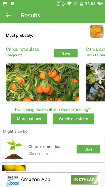 PlantSnap - Preview 2