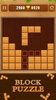 Wood Block Puzzle screenshot 9
