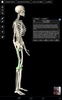 Essential Skeleton 3 screenshot 9