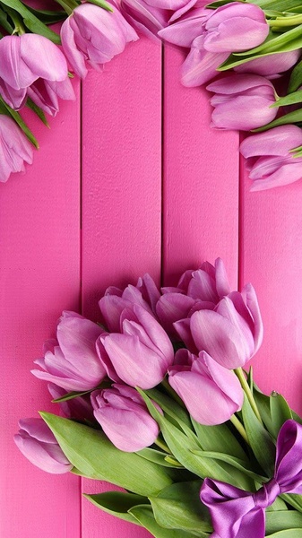 Pink Tulips Live Wallpaper - Preview 4