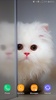 Cute Animals Wallpaper screenshot 5