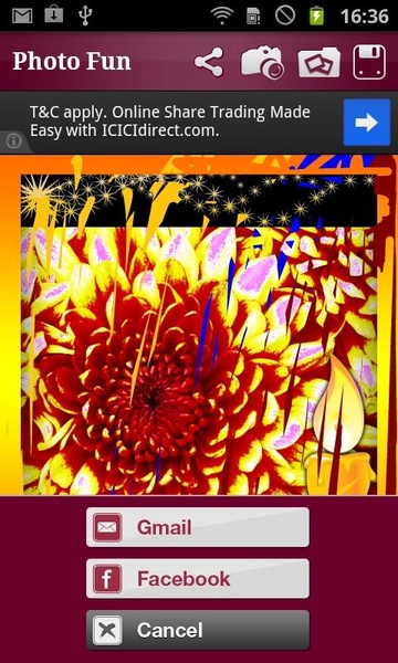 Photo Fun - Preview 1