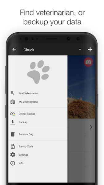 Dog Health - Preview 1