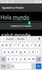 Spanish to French Translator screenshot 3