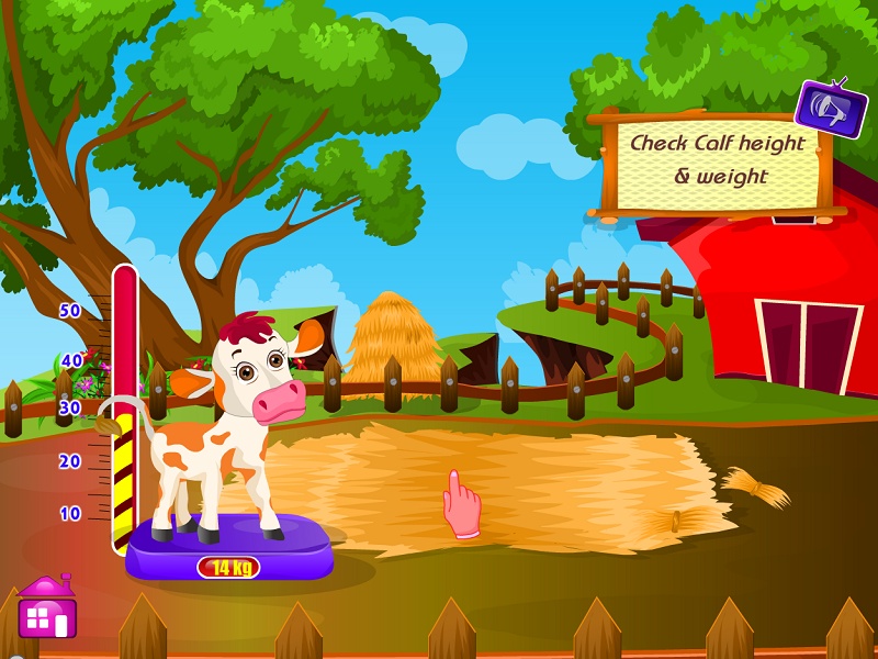 Cow Baby Birth - Preview 4