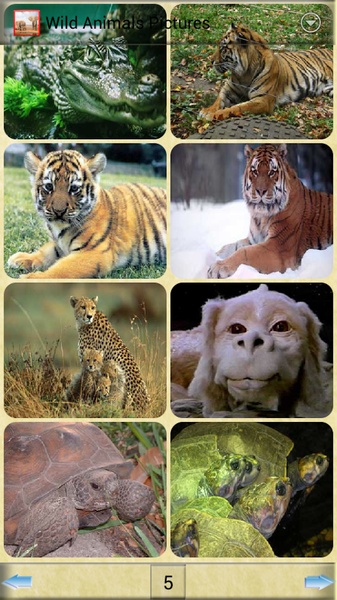 Wild Animals Pictures - Preview 2