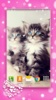 Cute Kittens Live Wallpaper screenshot 5