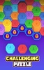 Hexa Sort: Color Puzzle Game screenshot 15