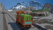 CPEC Cargo Truck Pak-China screenshot 4