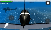 Orca Simulator screenshot 3