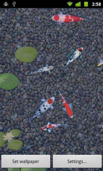 aniPet Koi LiveWallpaper - Preview 6