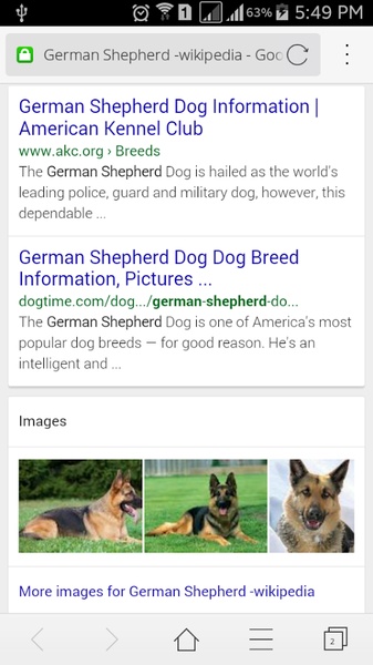 Advanced Google Search - Preview 4