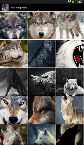 Wolf wallpapers - Preview 3