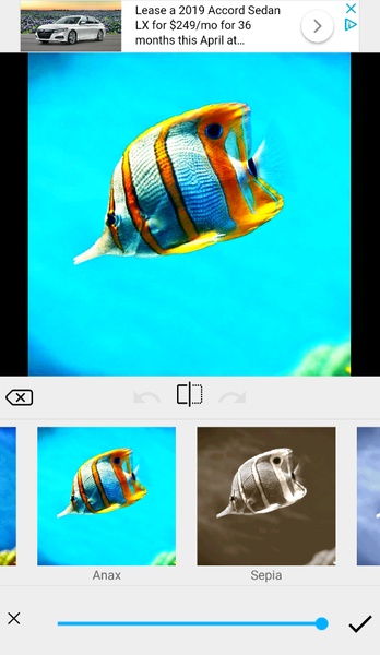 Decent Photo Editor - Preview 5