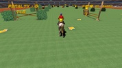 Show Jumping screenshot 3