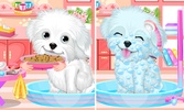 Fluffy Puppy Pet Spa And Care screenshot 1