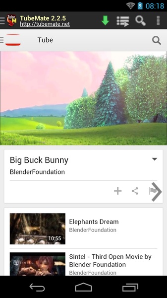Download Video Mp4 - Downloader - Preview 3