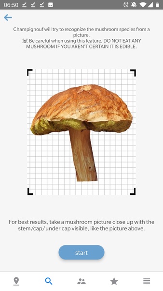 Mushroom Identificator - Preview 1